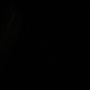 Meet your Posher, Suzanne